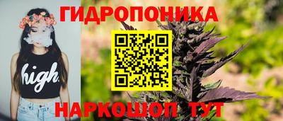 ECSTASY Заволжье