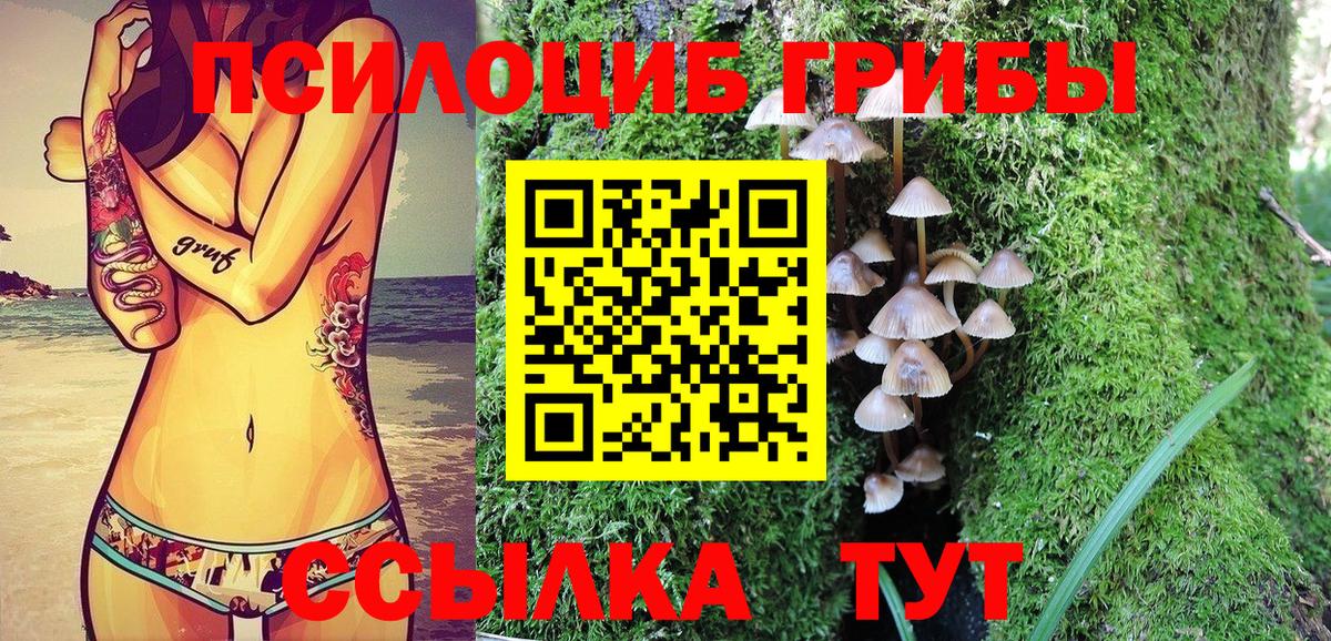 Галлюциногенные грибы мухоморы Звенигород