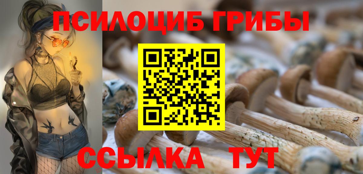 Звенигород  Галлюциногенные грибы прущие грибы  что такое   Вход с VPN 